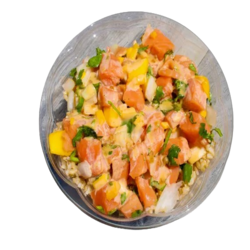 Miso_Salmon_5-removebg-preview-1920w-removebg-preview